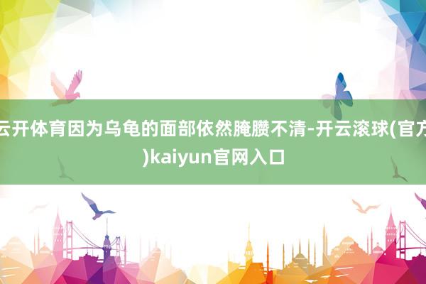 云开体育因为乌龟的面部依然腌臜不清-开云滚球(官方)kaiyun官网入口